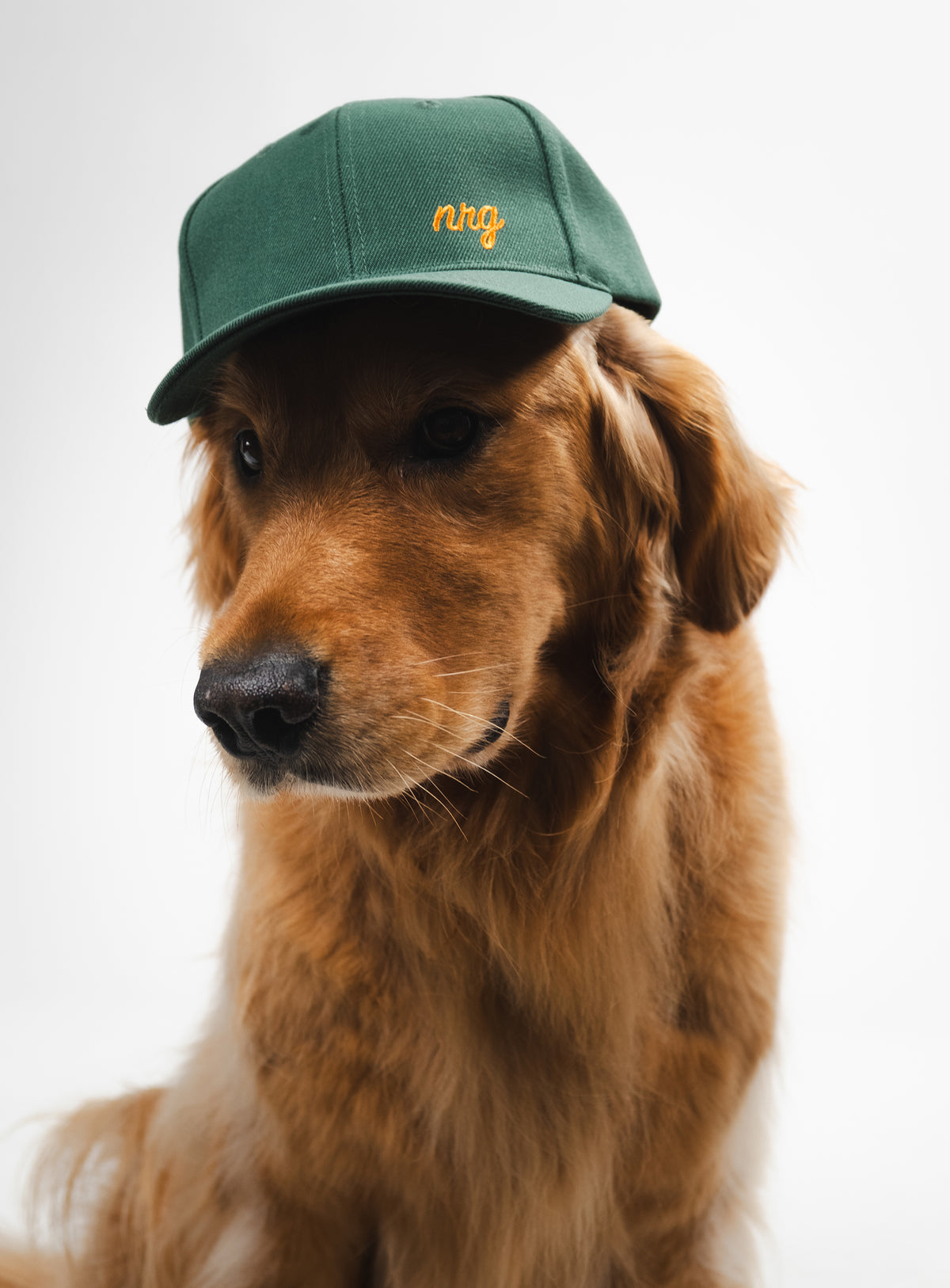 NRG Classic '26 Cap